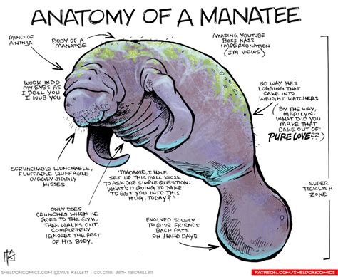 Anatomy of a Manatee - Sheldon® Comic Strip