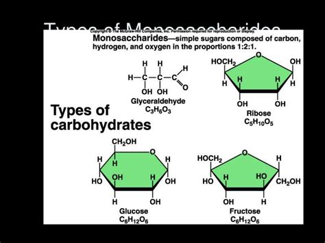 PPT - Biology 20 PowerPoint Presentation, free download - ID:1880853