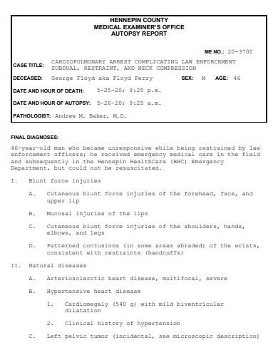 Autopsy Report - 8+ Examples, Format, Word, Docs, Pdf