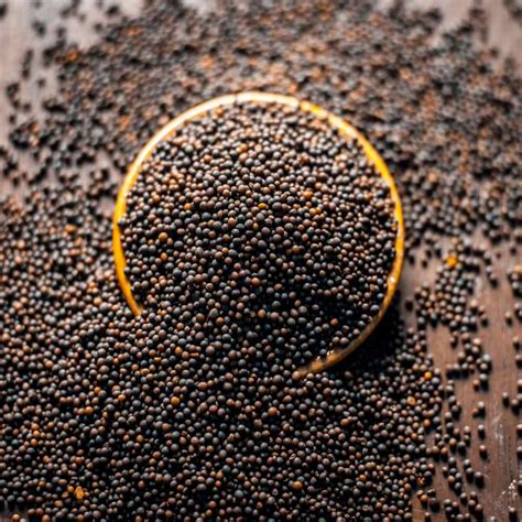 Black Mustard Seeds For Planting Indoors or Outdoors