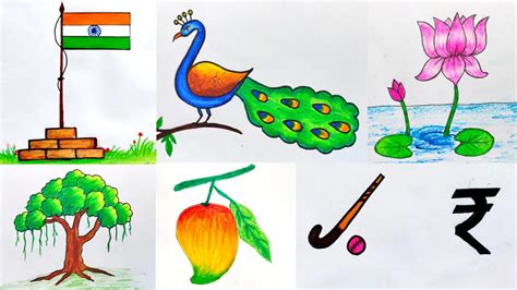 How To Draw National Symbols Of India National Symbols Of India Chart ...