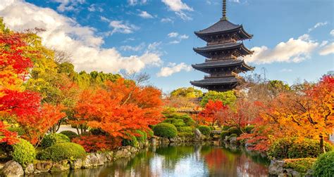 Japan: Land of the Rising Sun (from Tokyo to Kyoto) by Intrepid Travel with 123 Tour Reviews ...