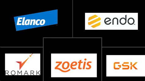 Liver Fluke TreatmentCompanies - Top Company List