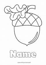 Coloring Page No2745  Easy coloring Pages Acorn Oak sketch template