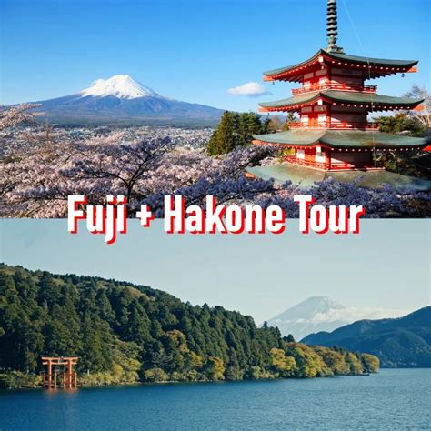 Tokyo to Mount Fuji and Hakone Private Full-day Tour