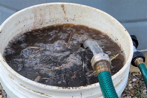 How To Make Compost Tea - Batang Tabon