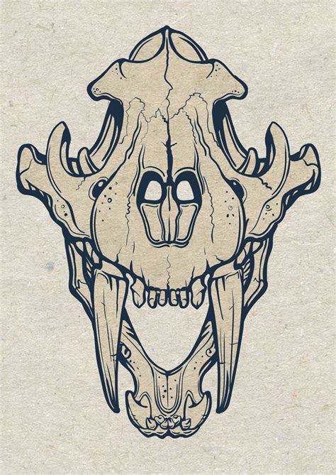 Saber Tooth Tiger Drawing Saber Tooth Tiger Skull Tattoo Saber Tooth ...