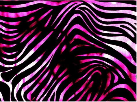 Zebra Print Wallpaper HD | PixelsTalk.Net