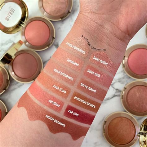 Pin by jen gomez on Cosmetics in 2020 | Milani cosmetics, Makeup swatches, Blush makeup