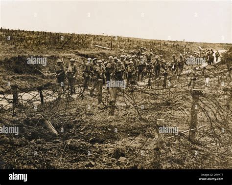 Hindenburg Line Stock Photo - Alamy