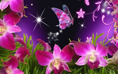 Neon Pink Butterfly Wallpapers - Top Free Neon Pink Butterfly Backgrounds - WallpaperAccess