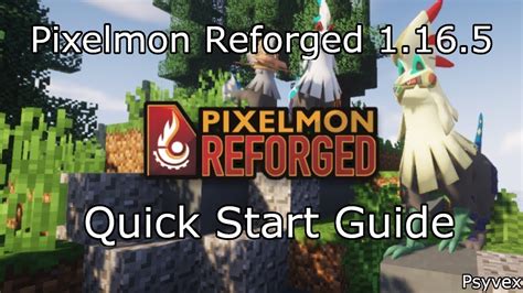 Pixelmon Reforged 1.16.5 Server Tutorial // Quick Start Guide - YouTube