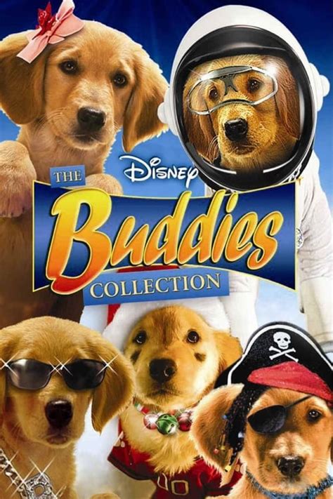 Disney Buddies Collection (2006-2013) — The Movie Database (TMDb)