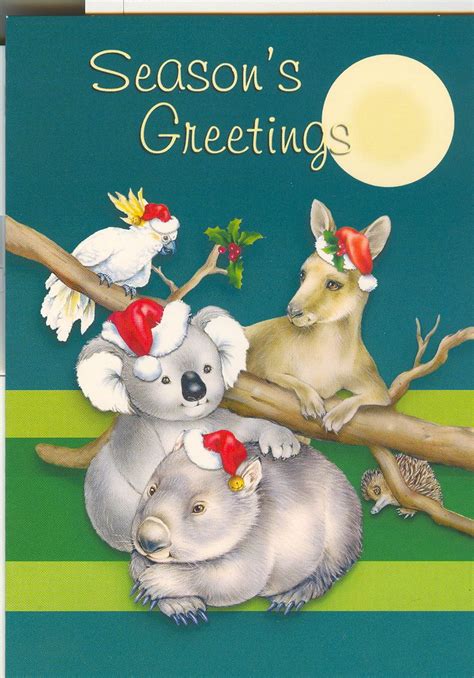 Christmas Cards From Australia | Australian christmas cards, Aussie christmas, Christmas photo cards