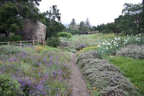 The Perennial Blogger: Santa Barbara Botanic Garden