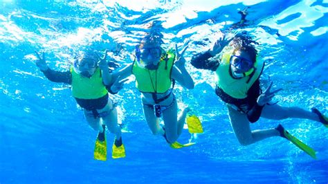 Oahu Snorkeling Tours ﻿🤿 2023 Discount Tickets & Reviews