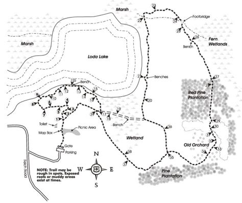 Duck Lake State Park Trail Map - Printable Map