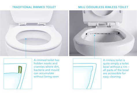 All The Things You Need To Know About Rimless Toilet Suite