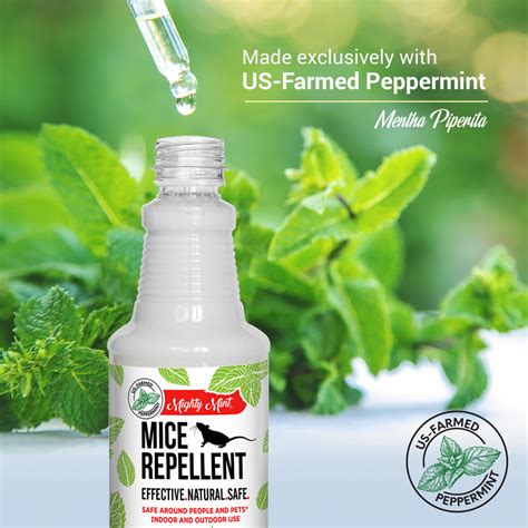 Mice Repellent Peppermint Spray - 16 oz – Pure Origin Products