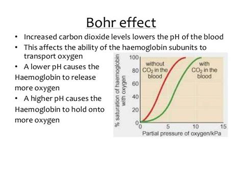 Bohr Effect - Google Search | Medical science, Bohr effect, Physiology