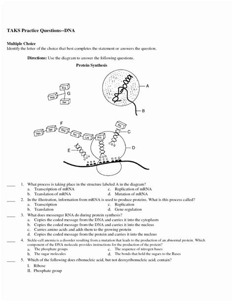 Worksheets Protein Synthesis