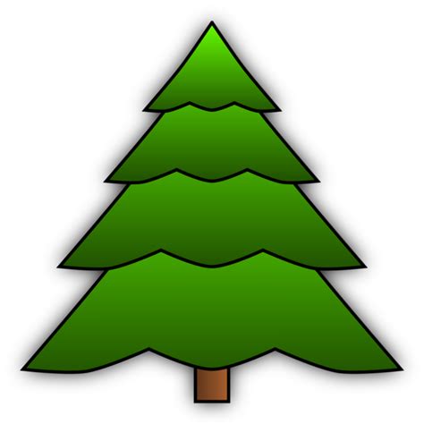 Download High Quality Tree clipart evergreen Transparent PNG Images ...