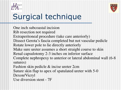 PPT - Cutaneous Ureterostomy PowerPoint Presentation, free download - ID:158403