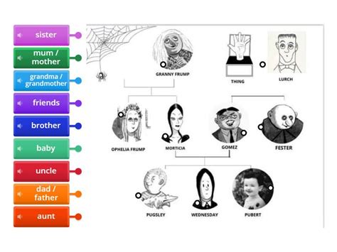 The Addams family tree - Labelled diagram