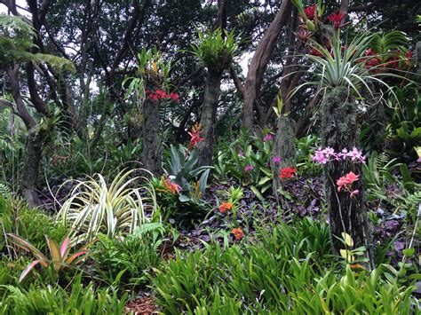 Are Dogs Allowed At Hawaii Tropical Botanical Garden