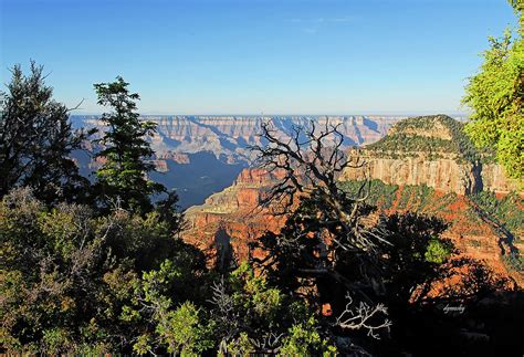 North Rim Sunrise Photograph by David Mosby - Pixels