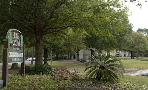 Pine Grove Apartments - Apartments in Gainesville, FL | Apartments.com