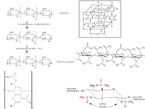 Cta2, Cellulose Acetate