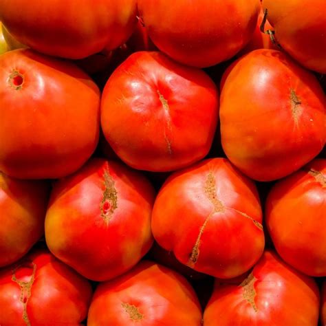 Buy Tomato - Big Boy seeds Online | Happy Valley Seeds