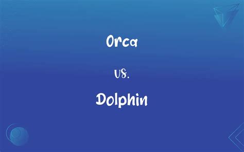 Orca vs. Dolphin: What’s the Difference?