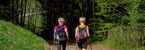 Ways to Preserve Nature While Hiking - New Canaan Land Trust