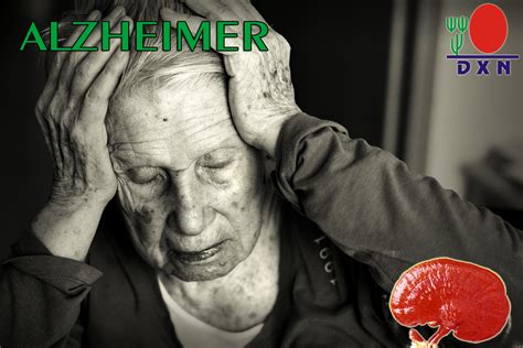 El Ganoderma lucidum frente al Alzheimer ~ DXN Internacional, Un Mundo ...