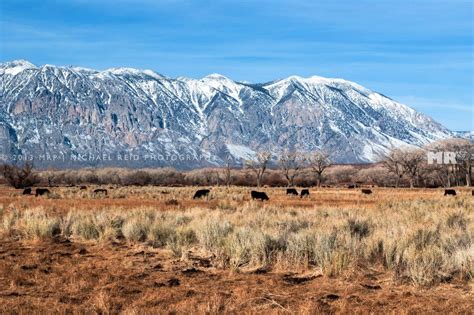 Bishop, CA | Michael Reid Photography | Bishop california, Natural landmarks, Adventure