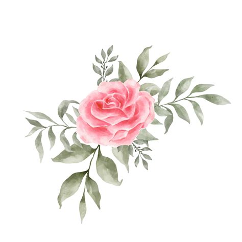 Rose Pink Flower White Background | Best Flower Site