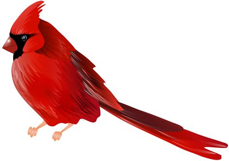 Free Printable Pictures Of Cardinal Birds - Printable Templates