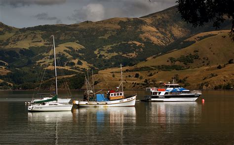 1600x900 wallpaper | Akaroa Harbour NZ | Peakpx