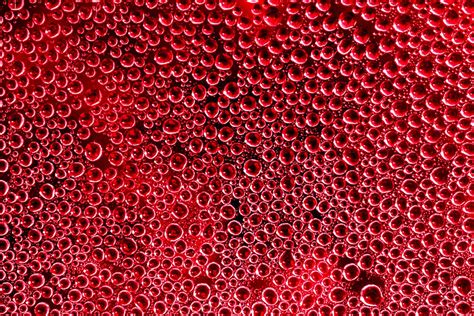 Trypophobia: Symptoms, Causes, and Therapy