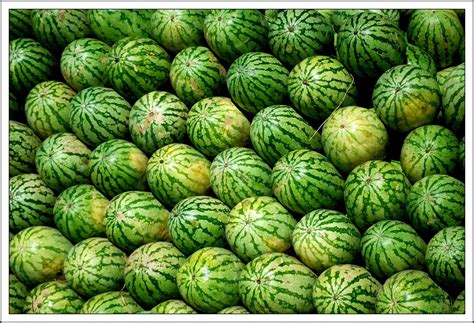 water melon | Arun Keerthi K. Barboza | Flickr