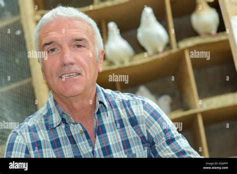 pigeon keeping Stock Photo - Alamy