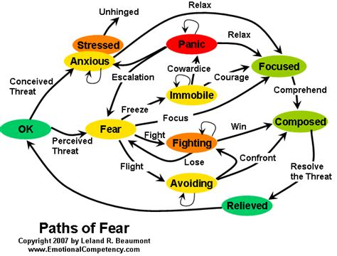 Emotional Competency - Fear