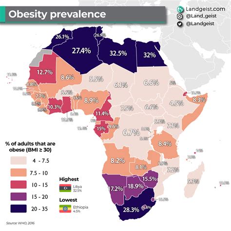 Obesity in Africa – Landgeist