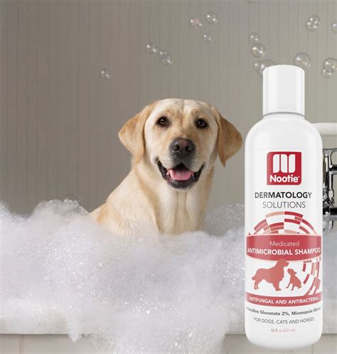 Medicated Dog Shampoo: Antifungal, Antibacterial Dog Shampoo – Lather Then 811048021434 | eBay