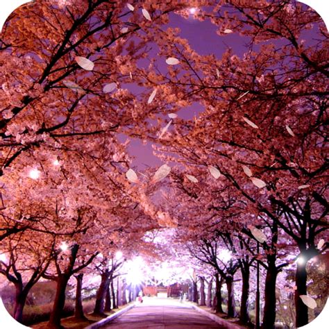 Sakura Live Wallpaper - Apps on Google Play