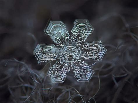 What Lis Thinks: Snowflakes Upclose