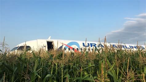 WATCH: Passenger plane makes emergency landing in field