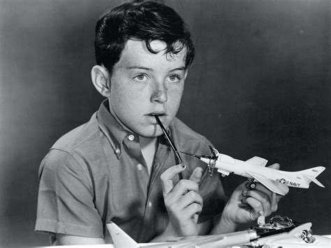 Jerry Mathers of 'Leave It to Beaver' Says He's 'Proud' to Have Served in the Air Force